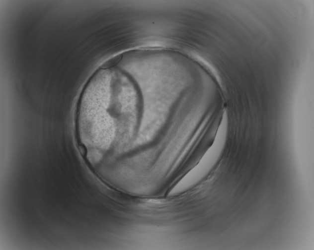 X0000088691483200706281952