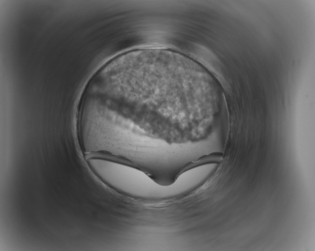 X0000088691484200706281952