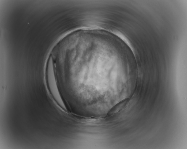 X0000088691485200706281952