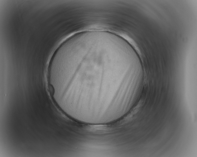 X0000088691486200706281952