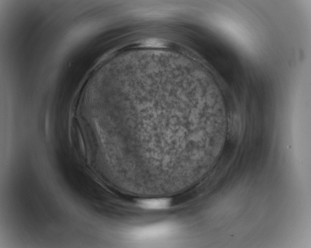 X0000088691487200706281952