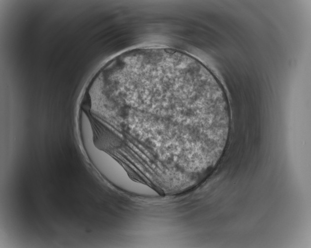 X0000088691488200706281952