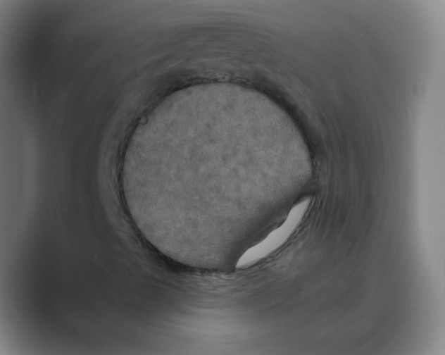 X0000088691489200706281952