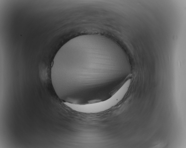 X0000088691490200706281952