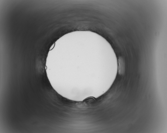 X0000088691491200706281952