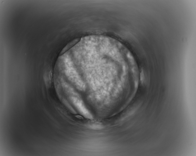X0000088691492200706281952