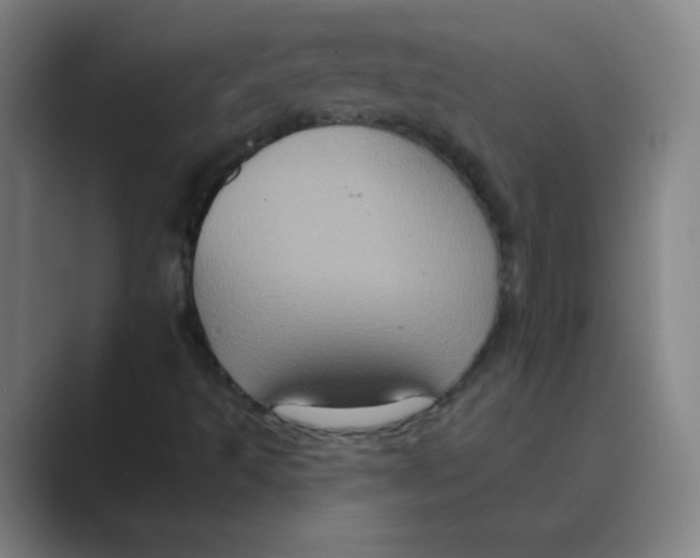 X0000088691493200706281952