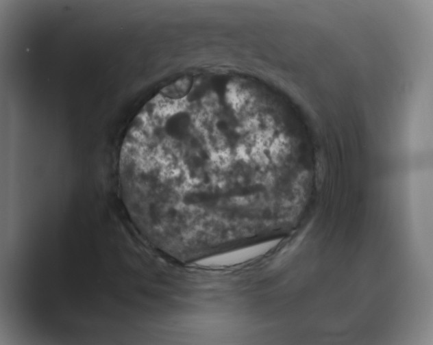 X0000088691494200706281952