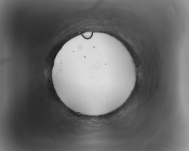 X0000088691495200706281952