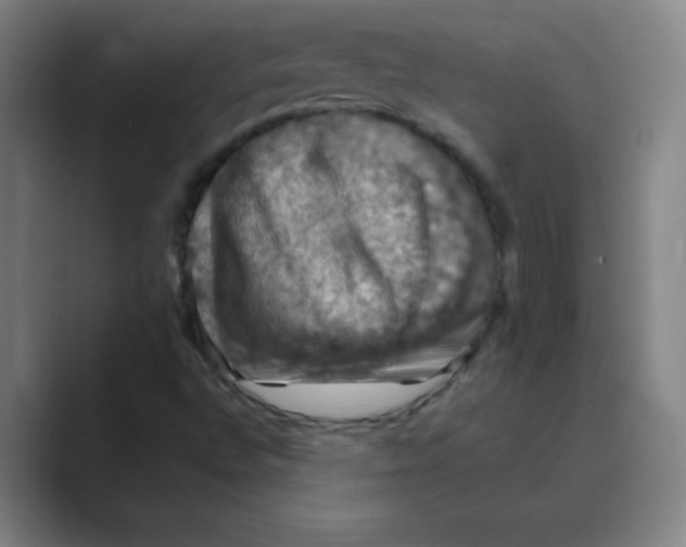 X0000088691496200706281952