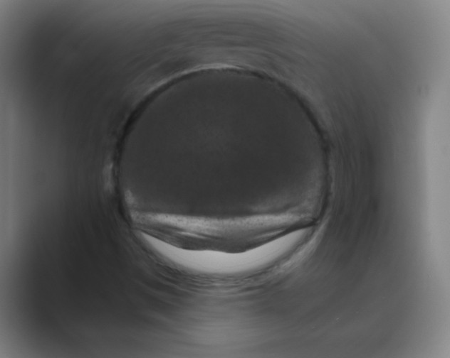 X0000088691497200706281952