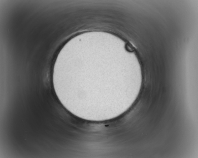 X0000088691498200706281952