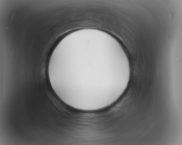 X0000088691499200706281952