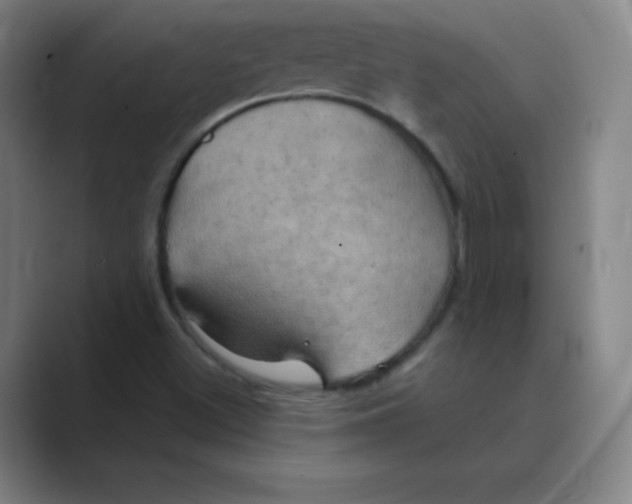 X0000088691500200706281952