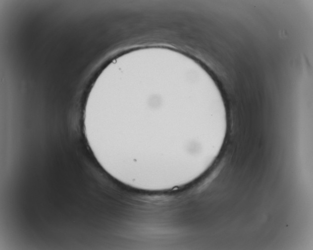 X0000088691502200706281952