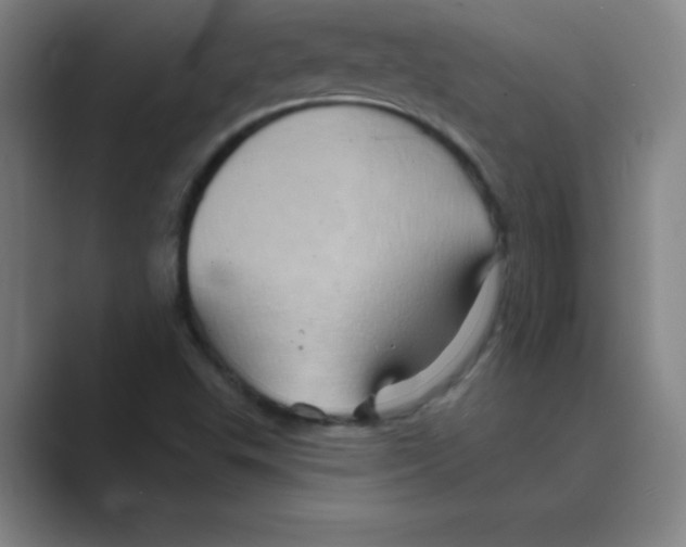 X0000088691503200706281952