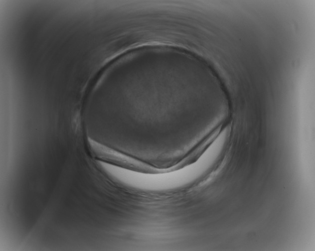 X0000088691505200706281952