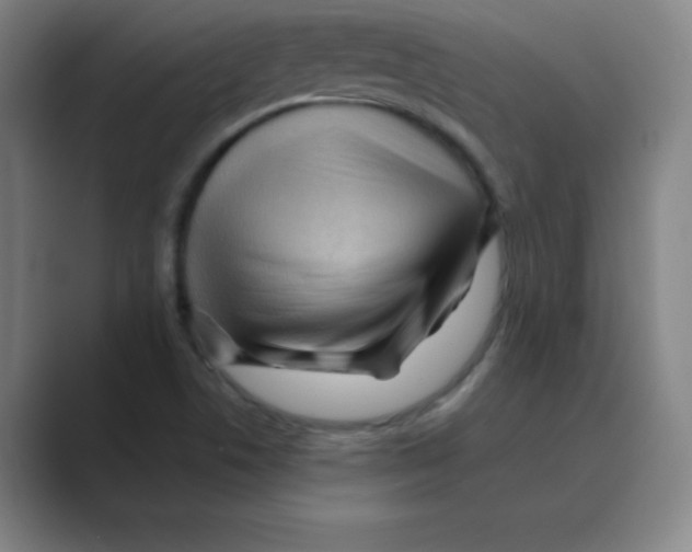 X0000088691506200706281952