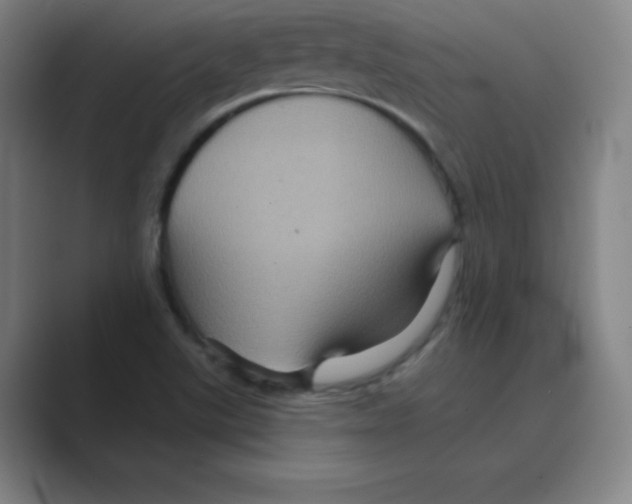 X0000088691507200706281952