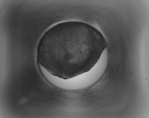 X0000088691508200706281952