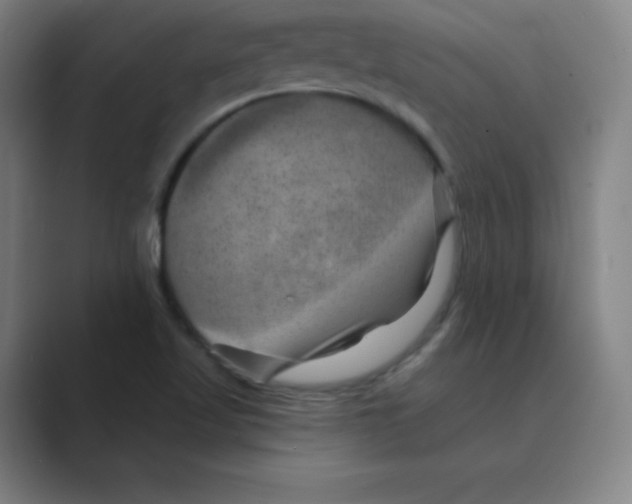 X0000088691509200706281952