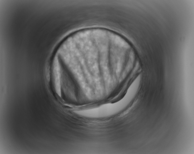 X0000088691510200706281952