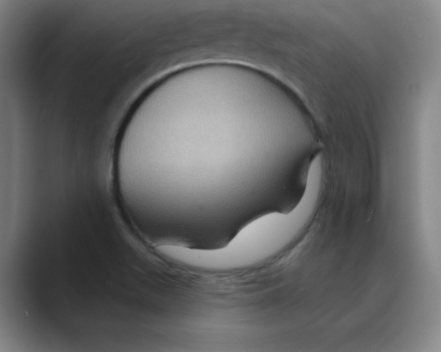 X0000088691511200706281952