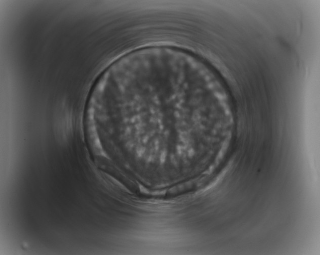 X0000088691513200706281952