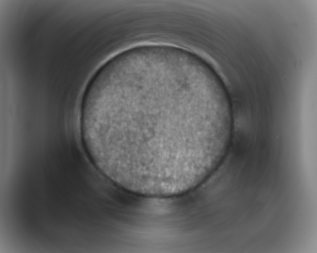 X0000088691514200706281952