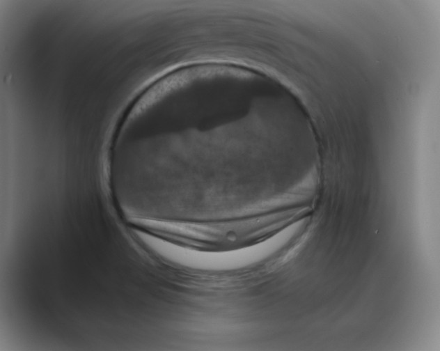 X0000088691517200706281952