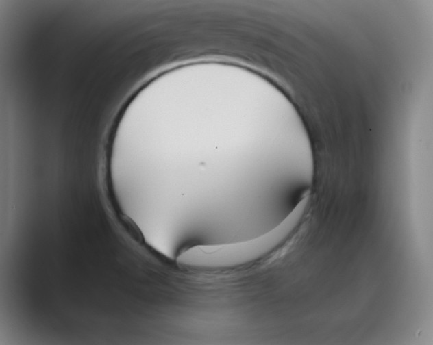 X0000088691518200706281952