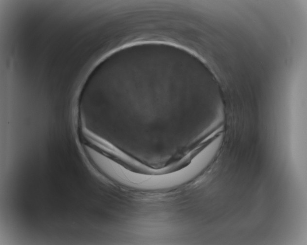 X0000088691519200706281952