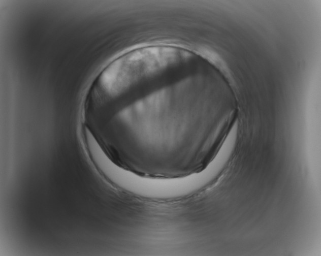 X0000088691520200706281952