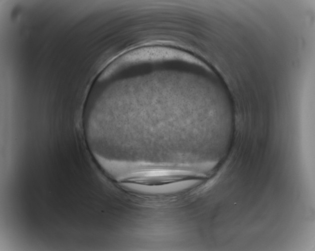 X0000088691521200706281952