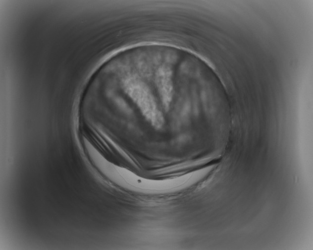 X0000088691523200706281952
