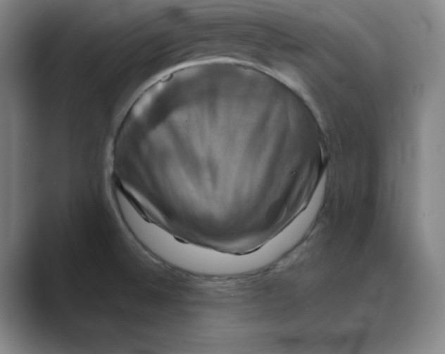 X0000088691524200706281952