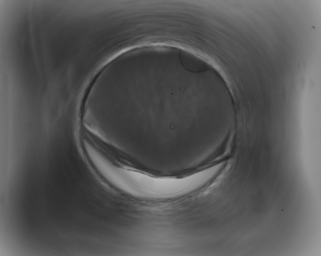 X0000088691525200706281952