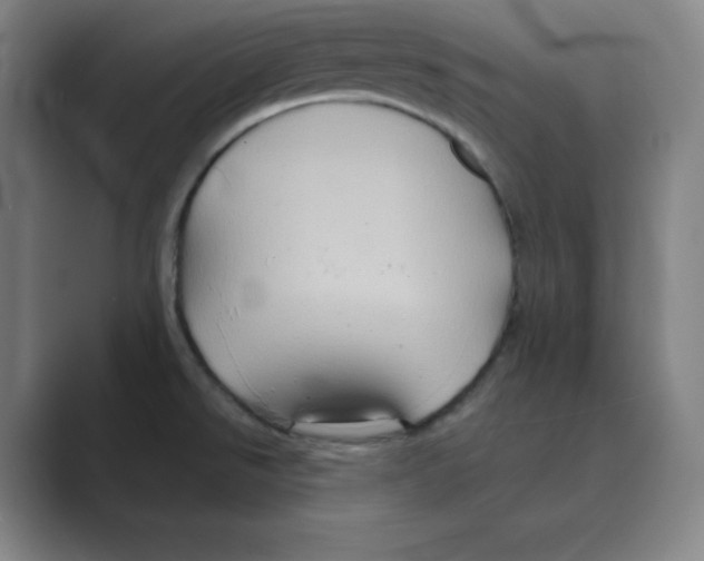 X0000088691526200706281952
