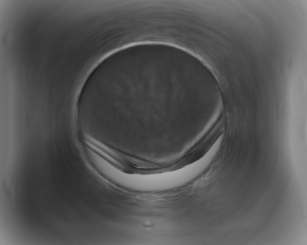 X0000088691527200706281952