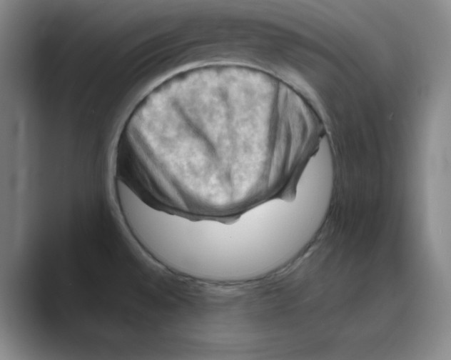 X0000088691528200706281952
