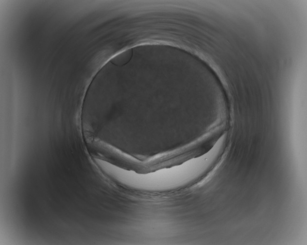X0000088691529200706281952