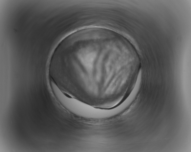 X0000088691530200706281952
