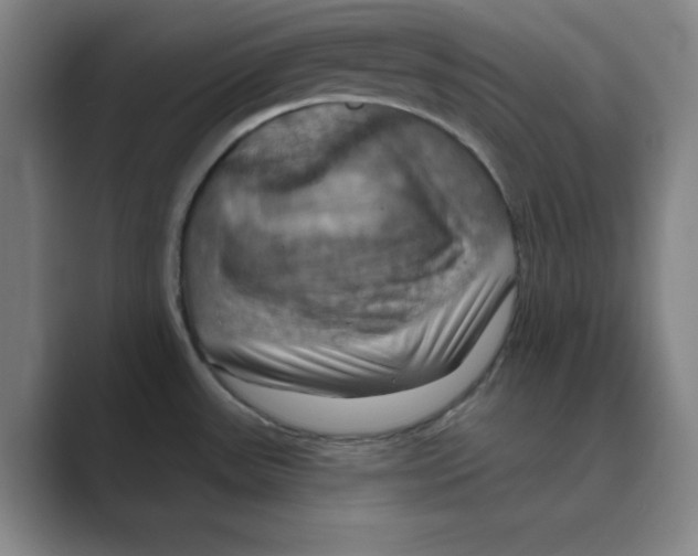 X0000088691531200706281952