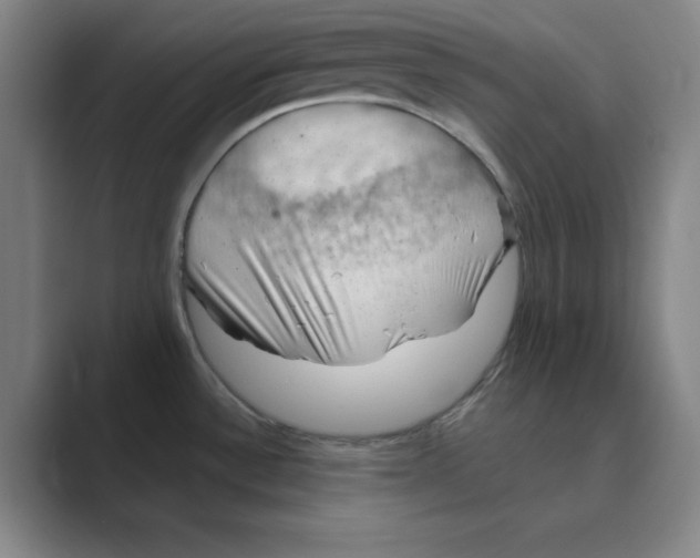 X0000088691532200706281952