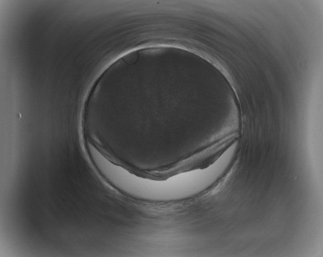 X0000088691533200706281952