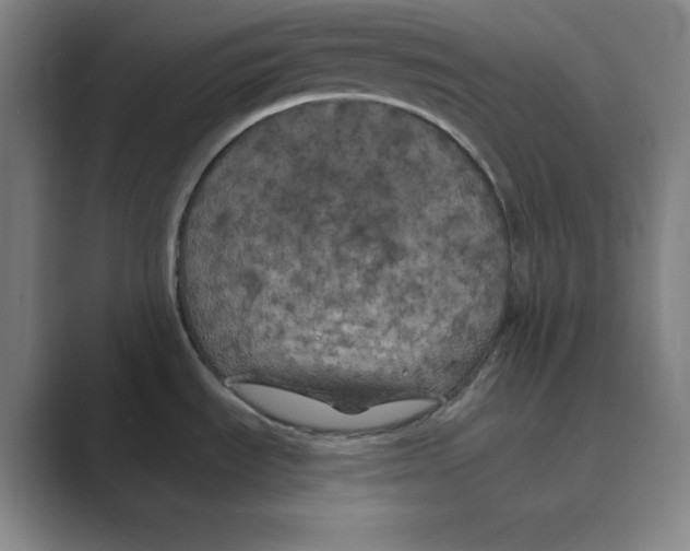 X0000088691535200706281952