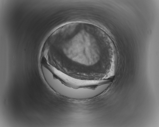 X0000088691536200706281952