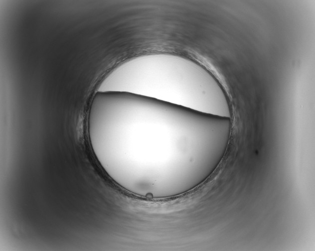 X0000088700010200705311025