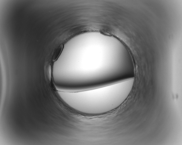 X0000088700013200705311025