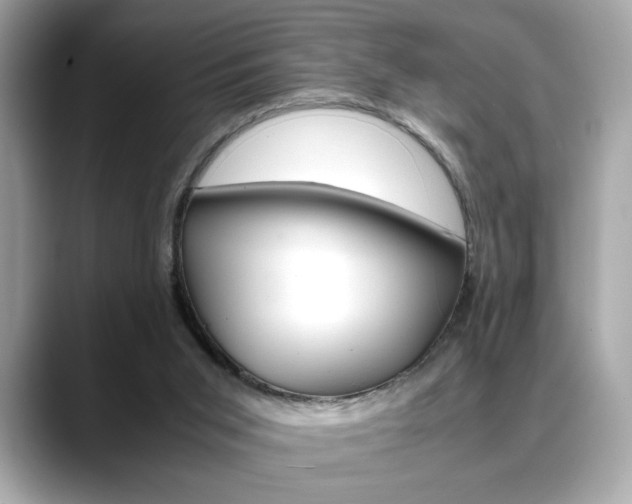X0000088700015200705311025